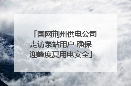 国网荆州供电公司走访泵站用户 确保迎峰度夏用电安全